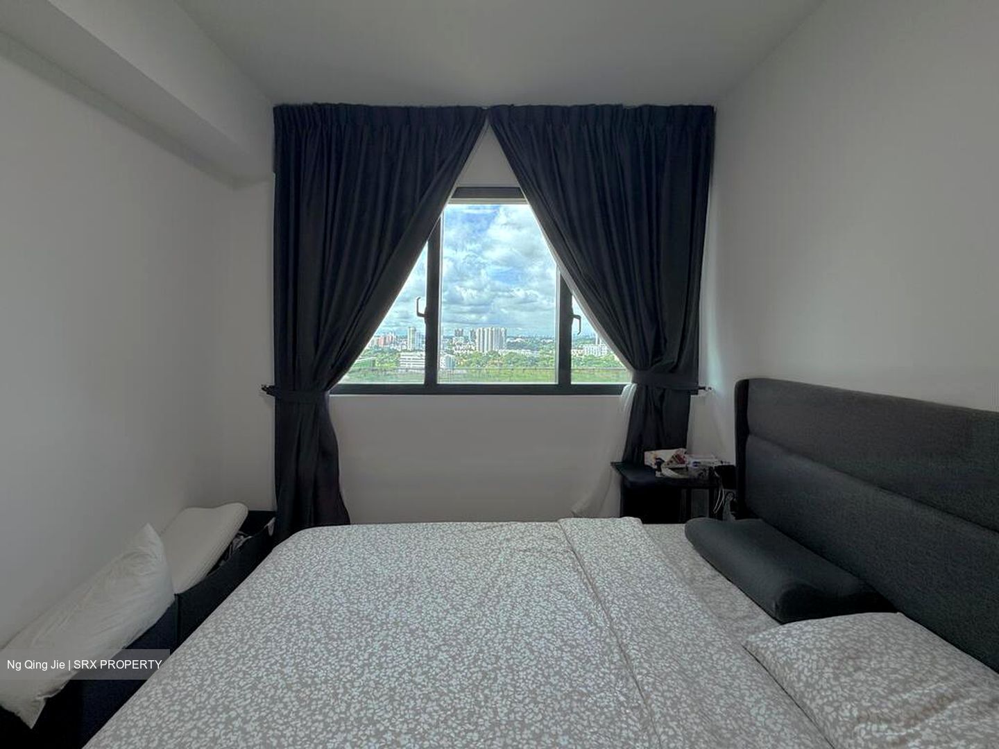 Normanton Park (D5), Apartment #455713341